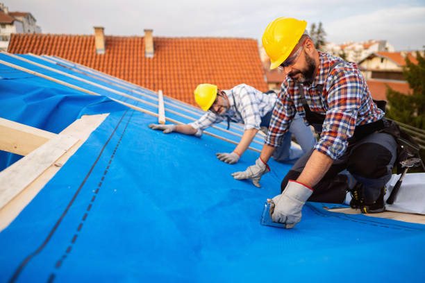 Best Roof Gutter Cleaning  in Eastman, GA